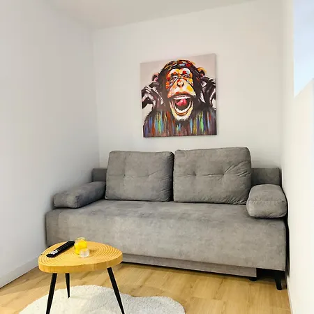 Paderewskiego 14 * Rzeszów