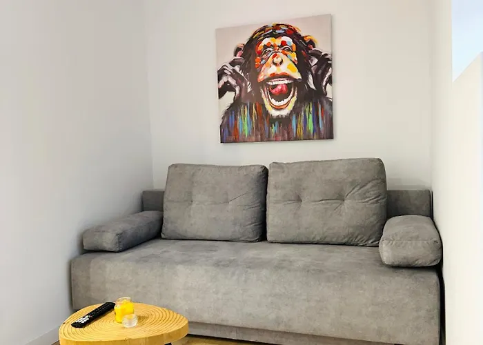 Paderewskiego 14 * Rzeszów